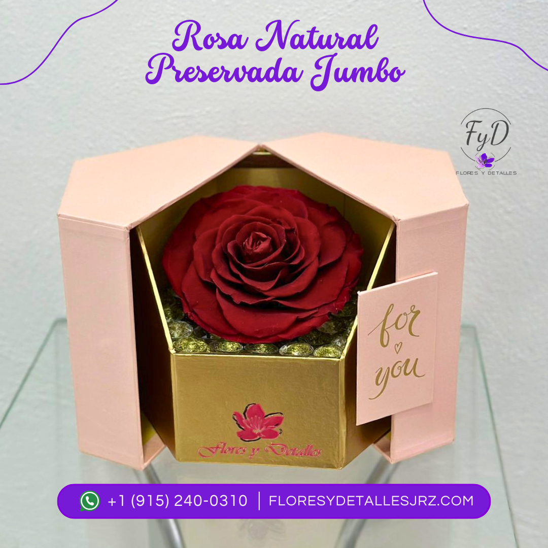 Rosa Natural Preservada Jumbo