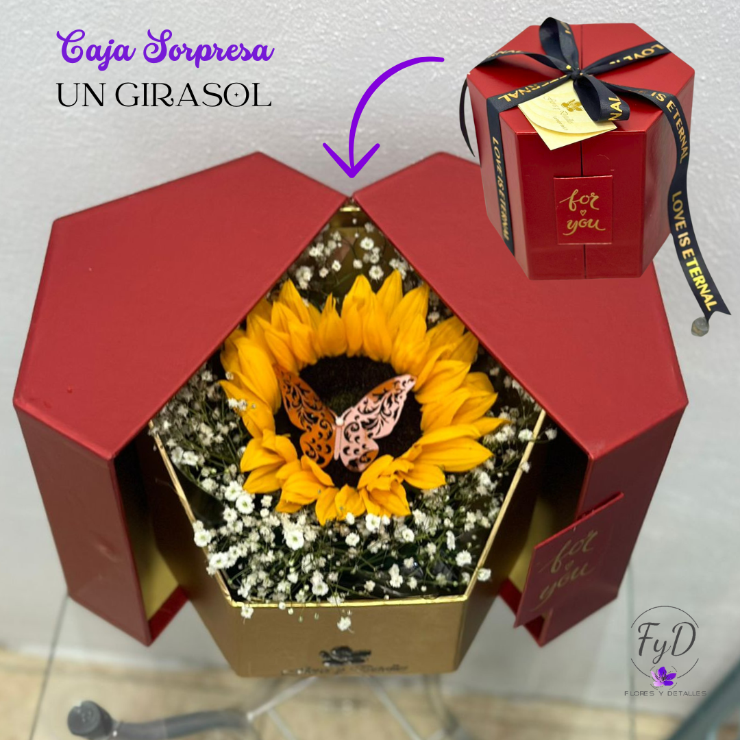 Caja sorpresa con 1 girasol