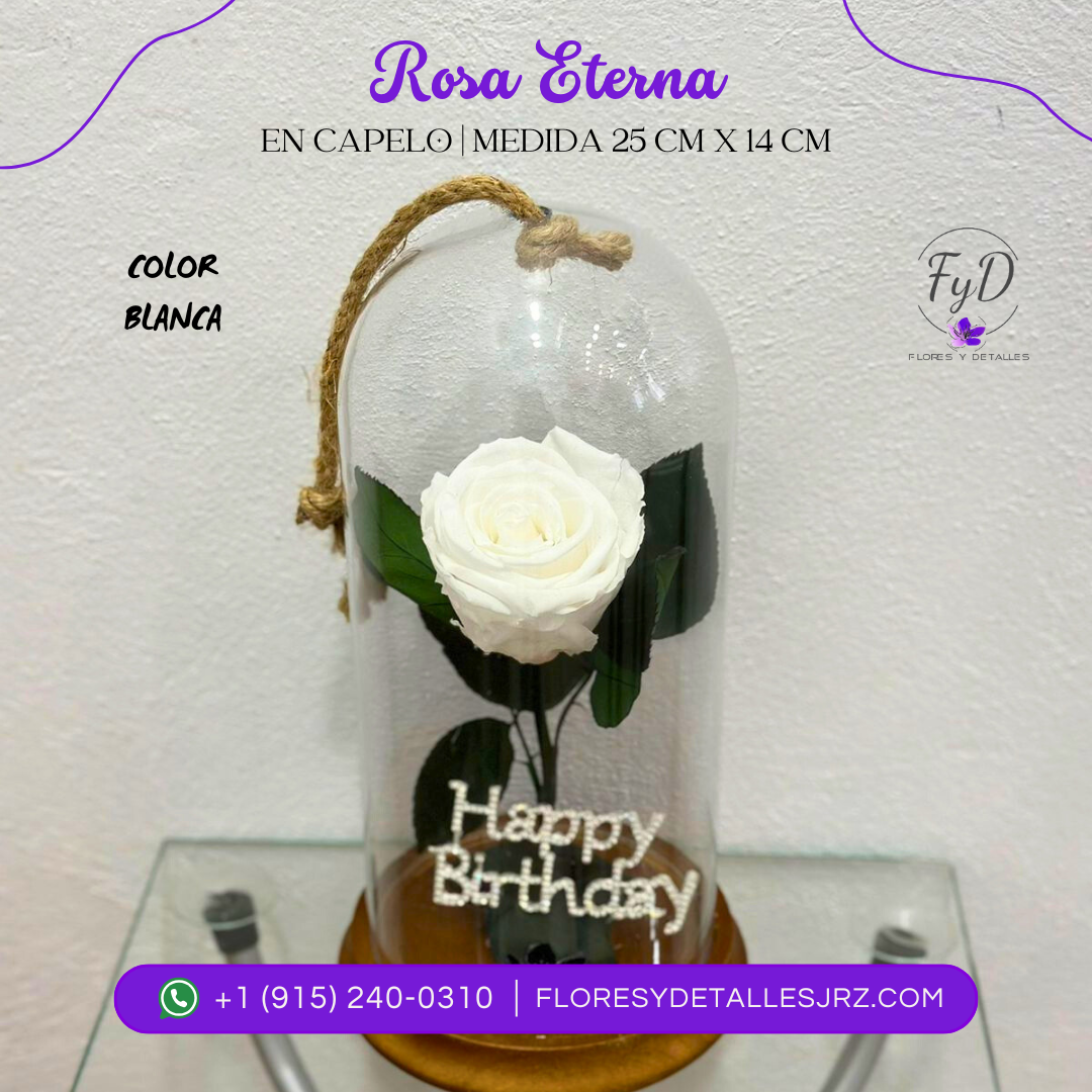 Rosa Eterna Blanca
