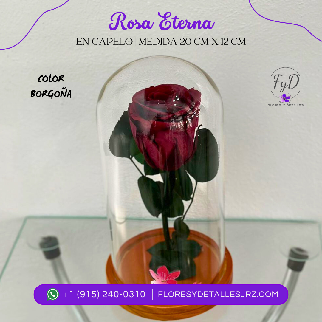 Rosa Eterna Borgoña