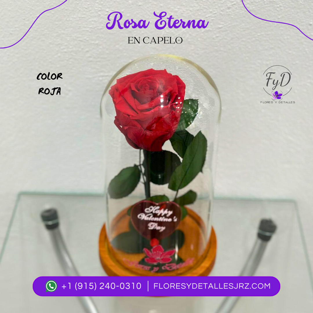 Rosa Eterna Roja
