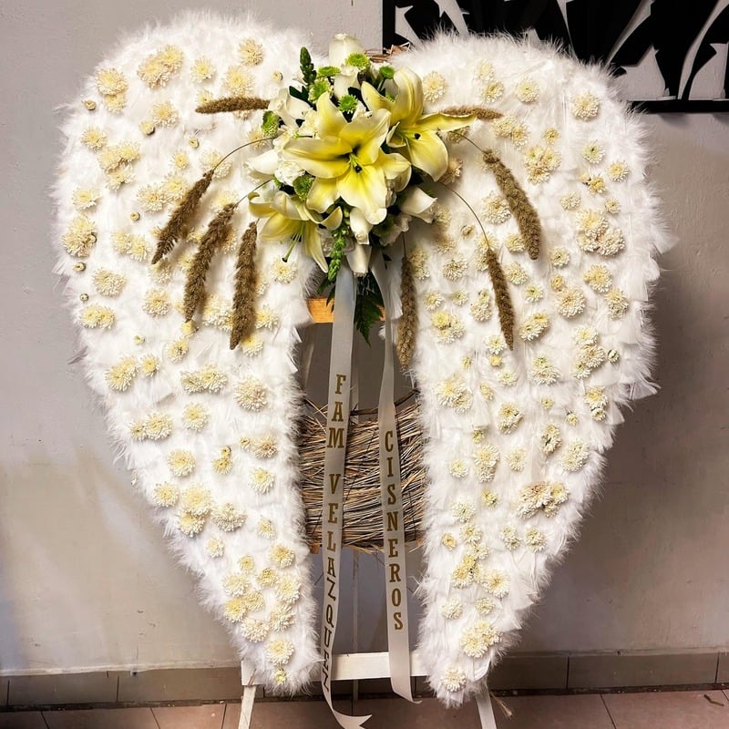 Corona alas de angel