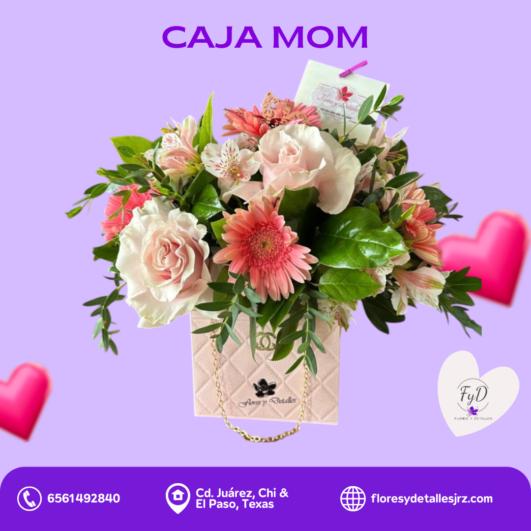 Caja Mom