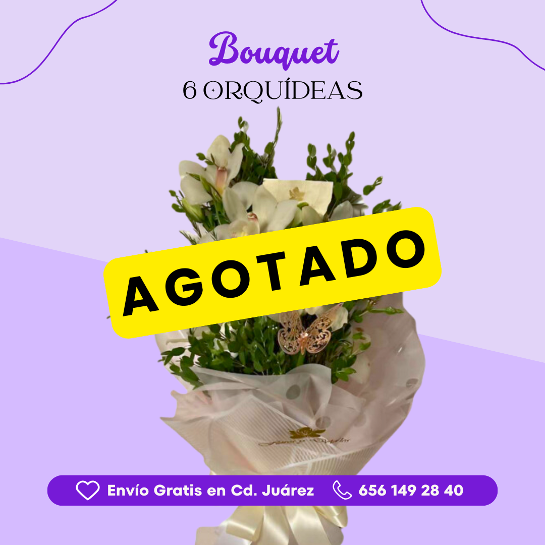 Bouquet 6 Orquídeas