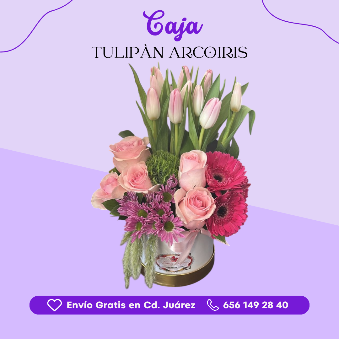 Caja Tulipán Arcoiris