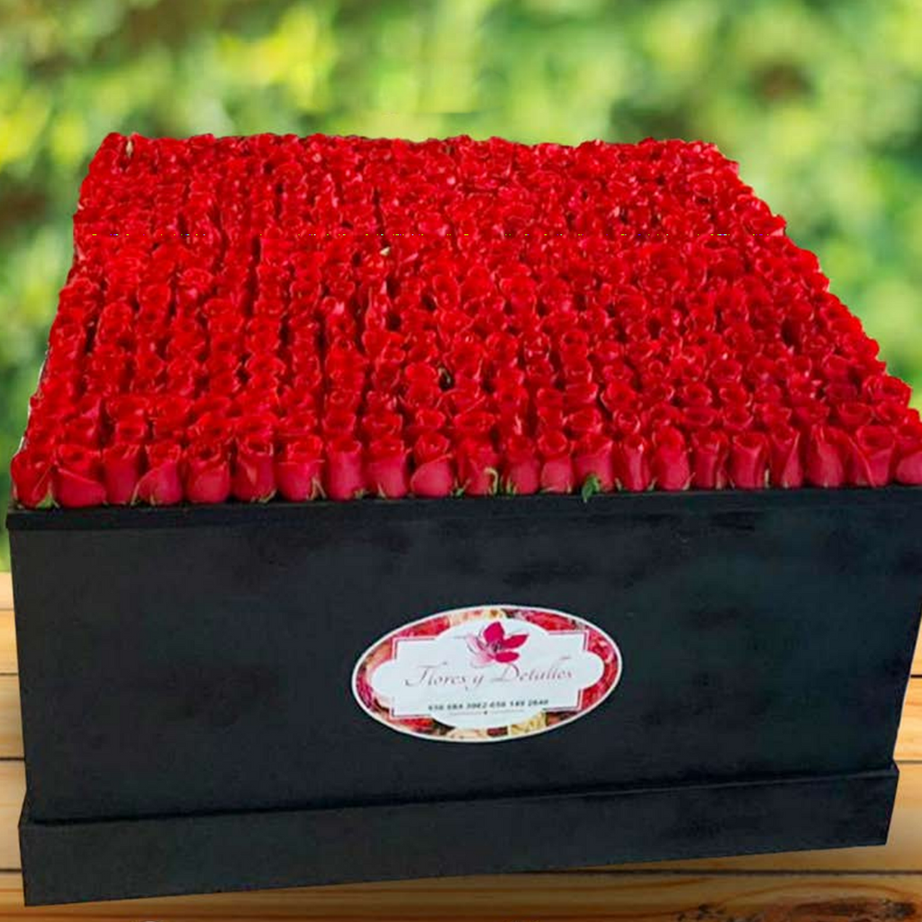Caja con 500 rosas