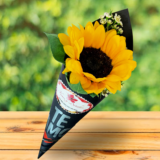 Cono Negro con 1 Girasol