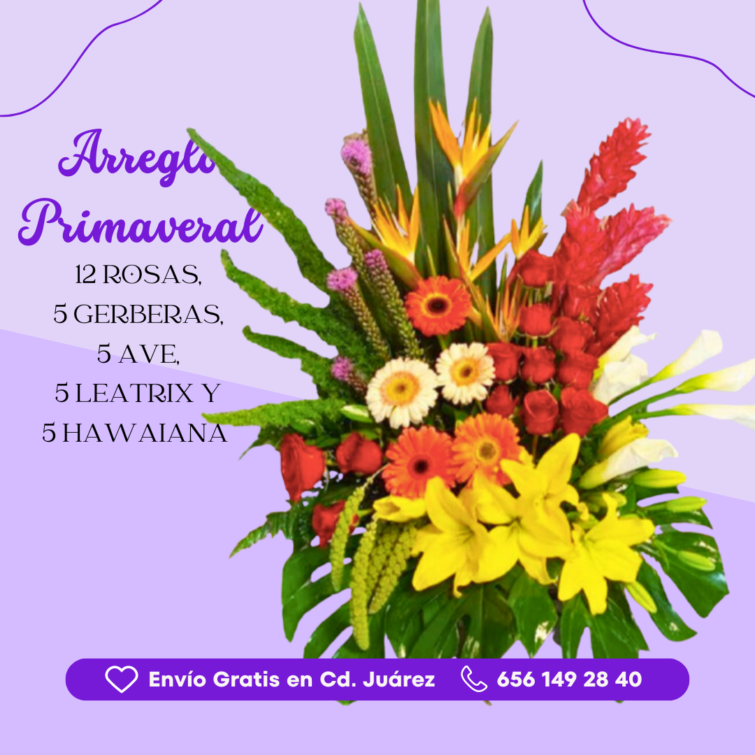 Arreglo Primaveral - 12 Rosas, 5 Gerberas, 5 Ave, 5 Leatrix y 5 Hawaiana