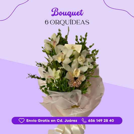 Bouquet 6 Orquídeas