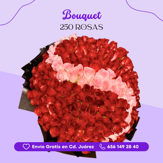 Bouquet 250 Rosas