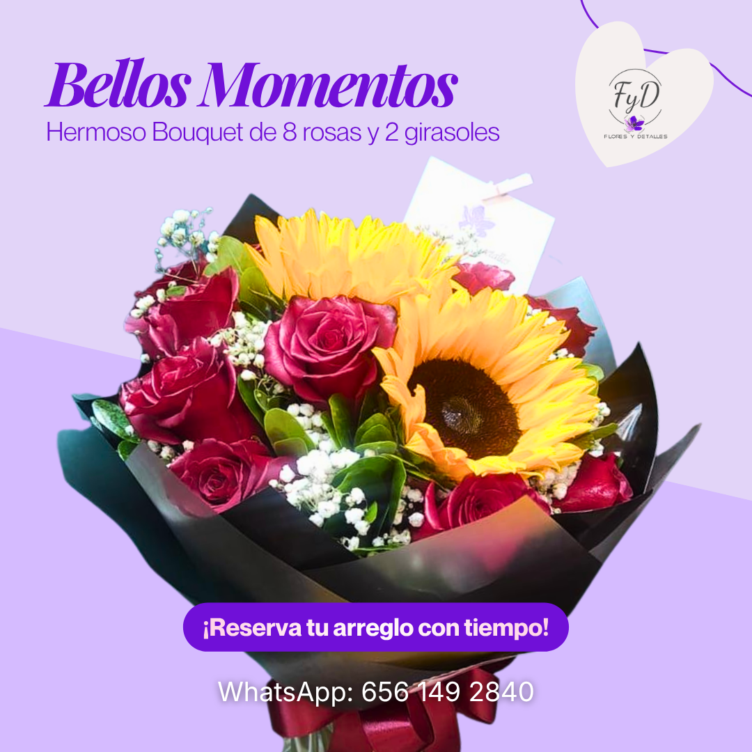 Bellos Momentos