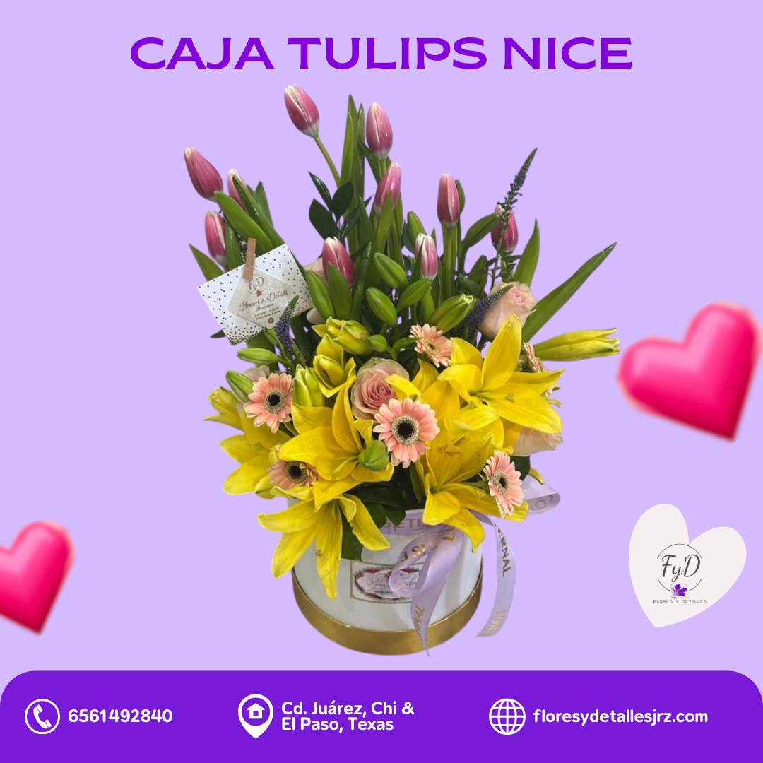 Caja Tulips Nice