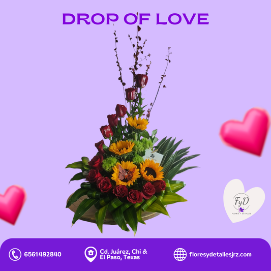 Drop of Love