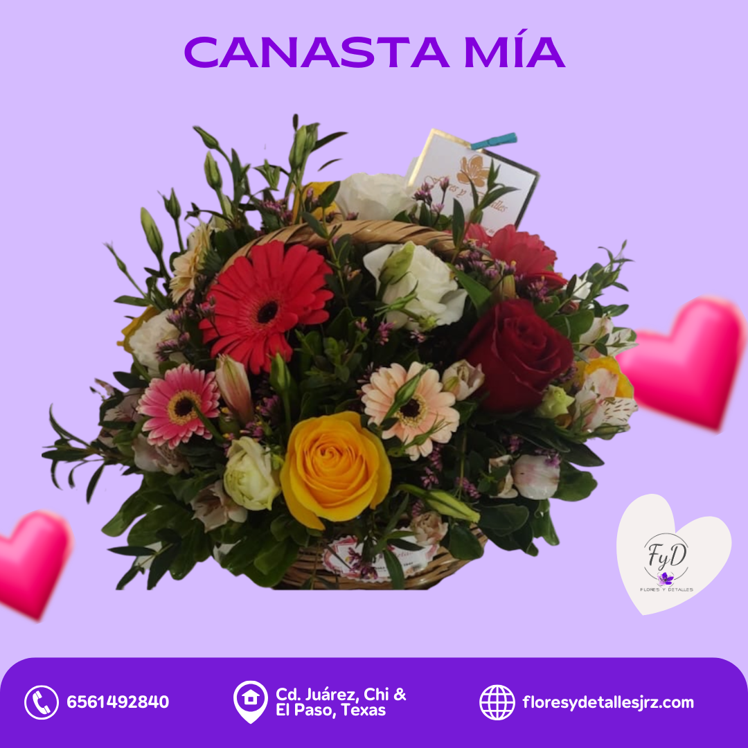 Canasta Mía