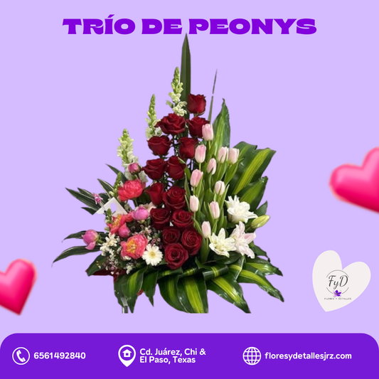 Trío de Peonys