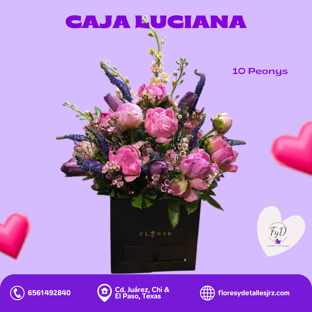 Caja Luciana