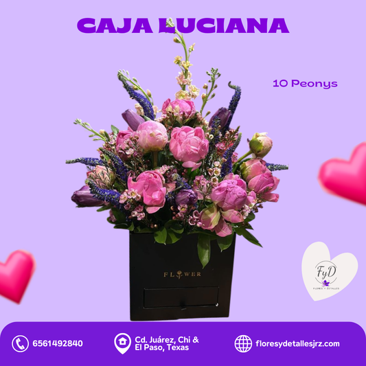 Caja Luciana