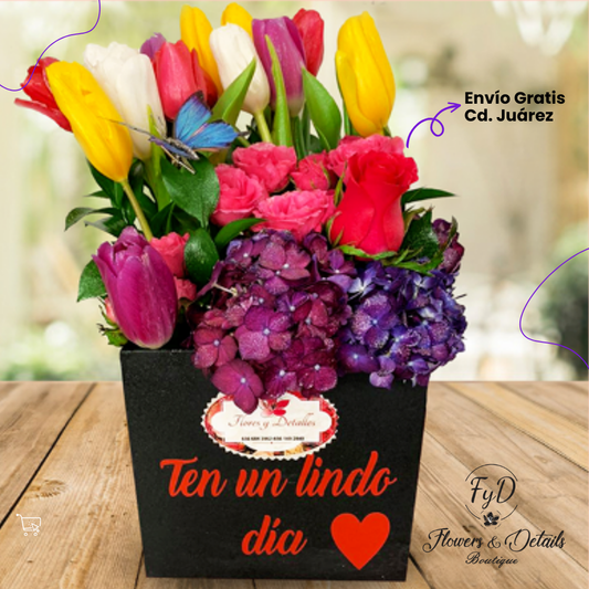 Caja Tulipán Arcoiris