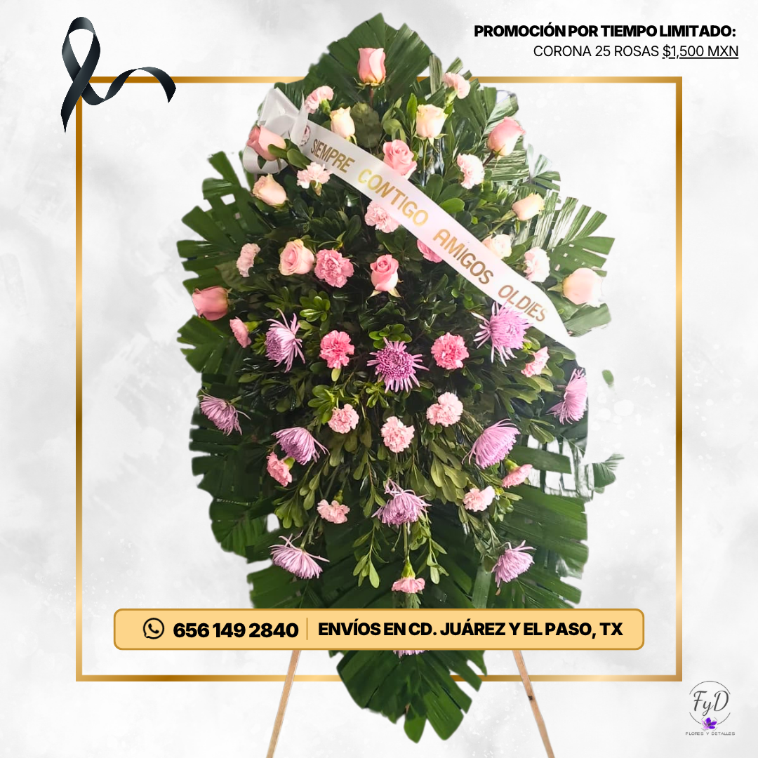 Promoción Especial: Corona 25 rosas rojas