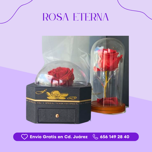 Rosa Eterna