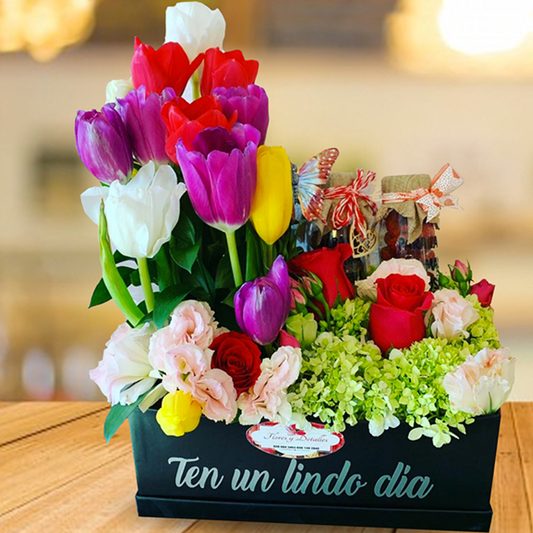 Caja Primavera
